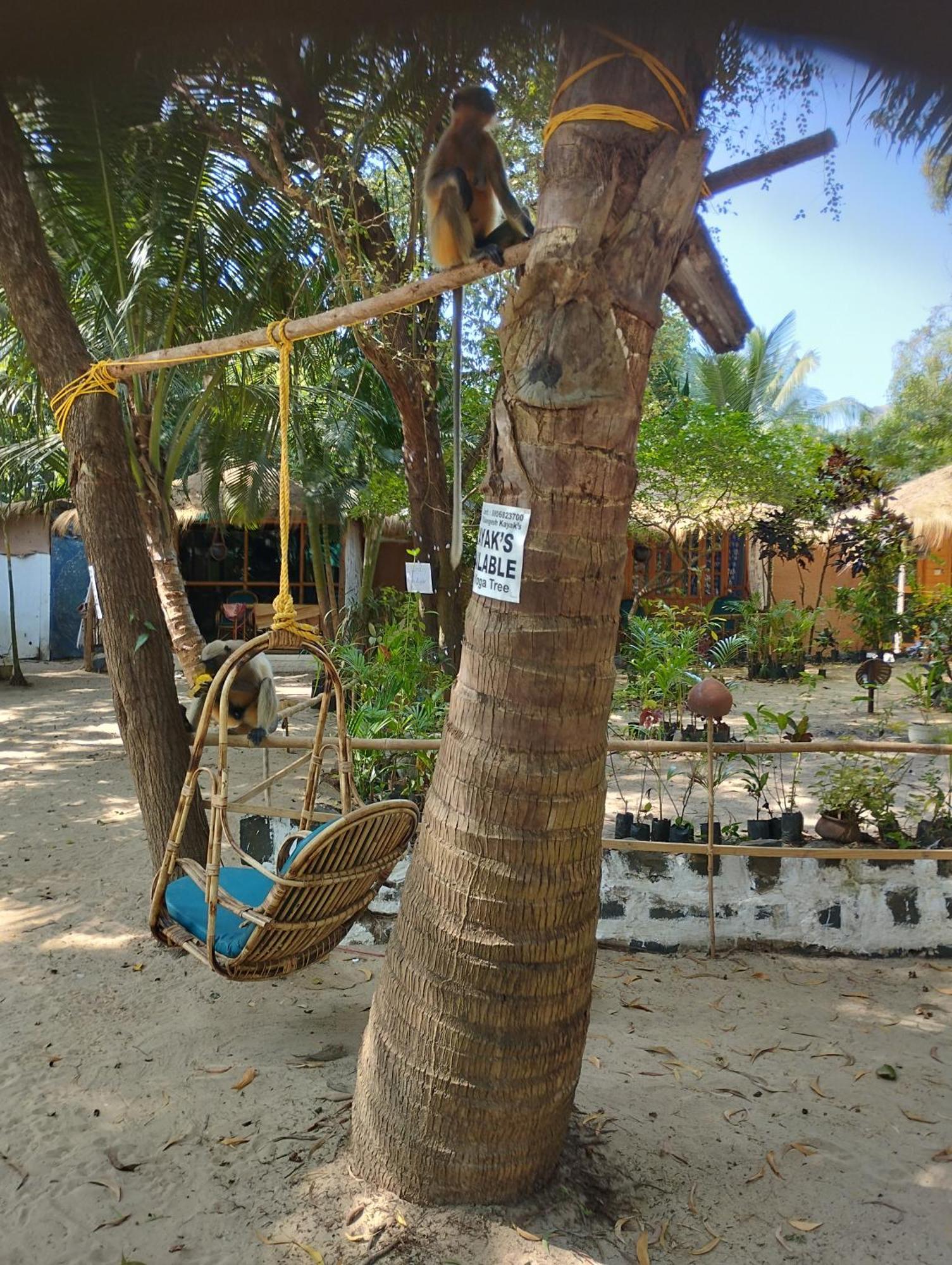Yoga Culture Palolem Hotel Buitenkant foto